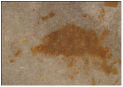 Tough Stains Removal Metairie
